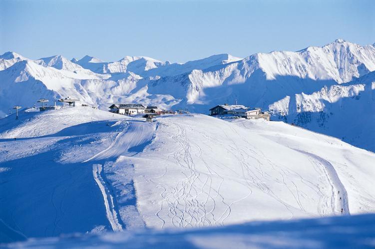 Almstube Fritz Daire Wald im Pinzgau Dış mekan fotoğraf