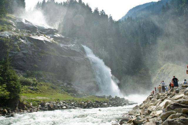 Almstube Fritz Daire Wald im Pinzgau Dış mekan fotoğraf