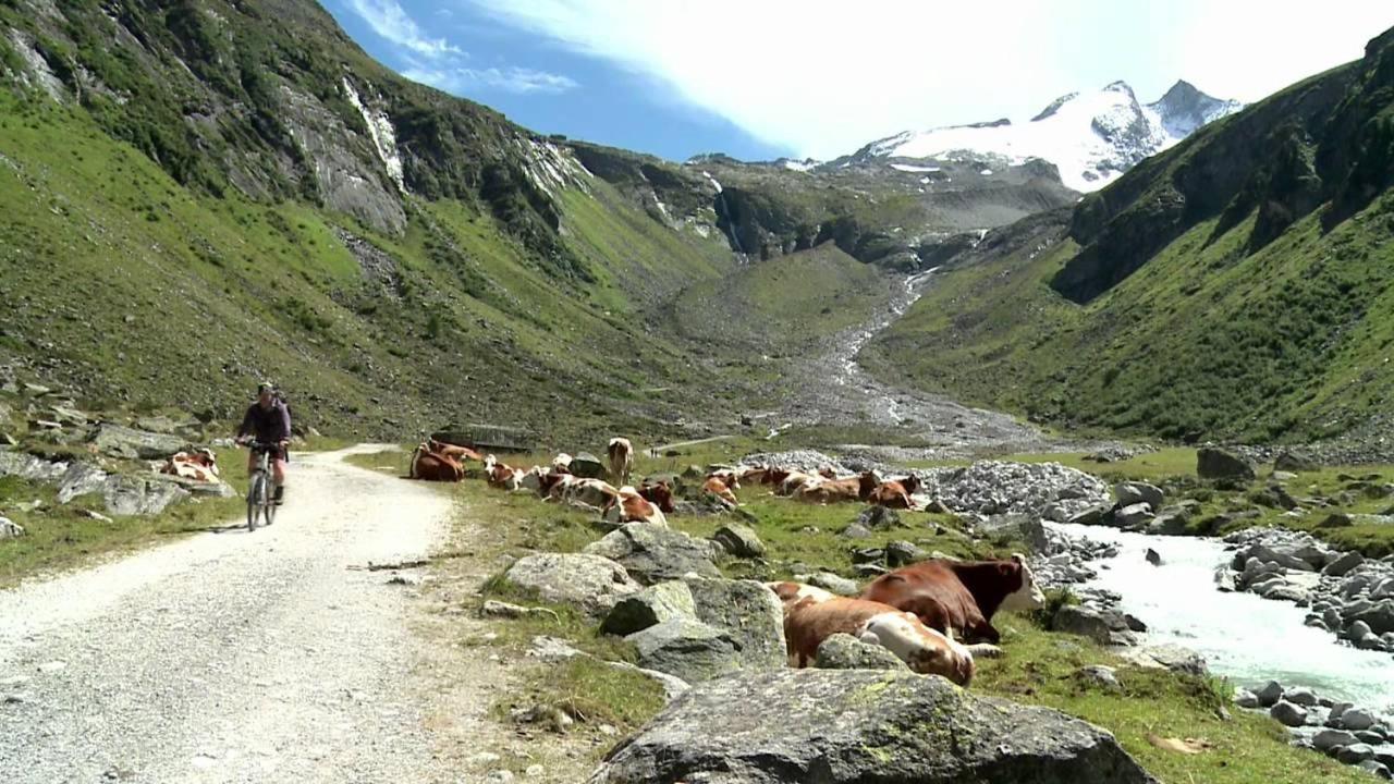 Almstube Fritz Daire Wald im Pinzgau Dış mekan fotoğraf