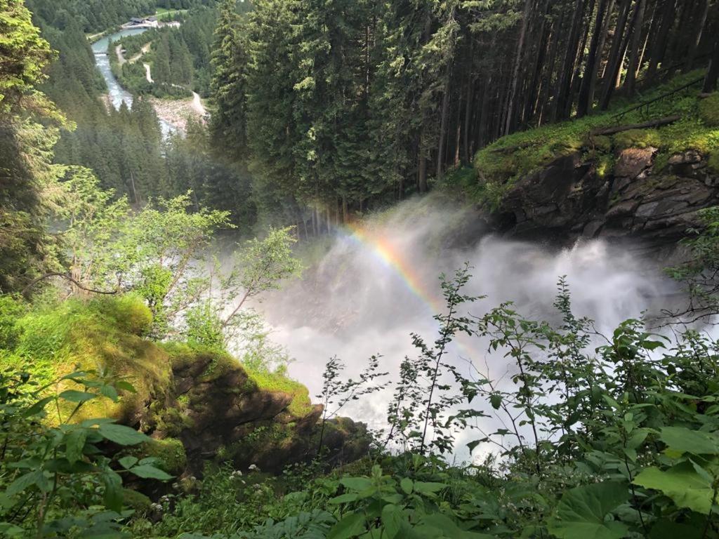 Almstube Fritz Daire Wald im Pinzgau Dış mekan fotoğraf